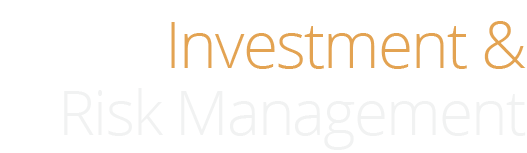 Investment and Risk Management HL.png